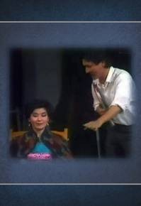 星尘(1982年王天林执导的传记剧)