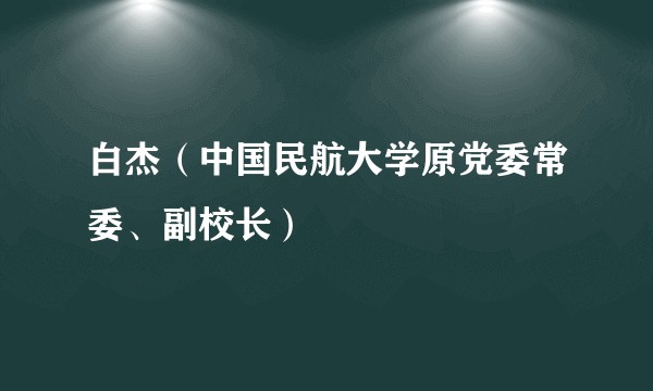 白杰（中国民航大学原党委常委、副校长）