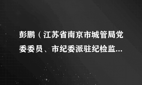 彭鹏（江苏省南京市城管局党委委员、市纪委派驻纪检监察组组长）