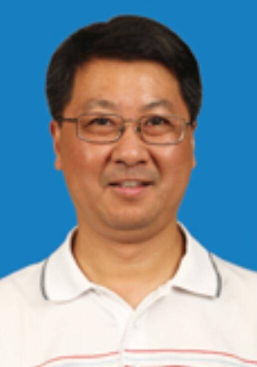 李丰（中科院纳米所研究员）