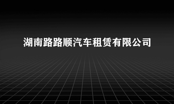 湖南路路顺汽车租赁有限公司