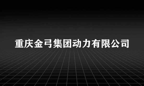 重庆金弓集团动力有限公司