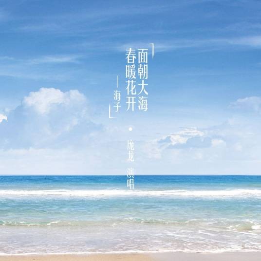 面朝大海，春暖花开（庞龙演唱歌曲）