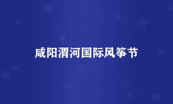 咸阳渭河国际风筝节