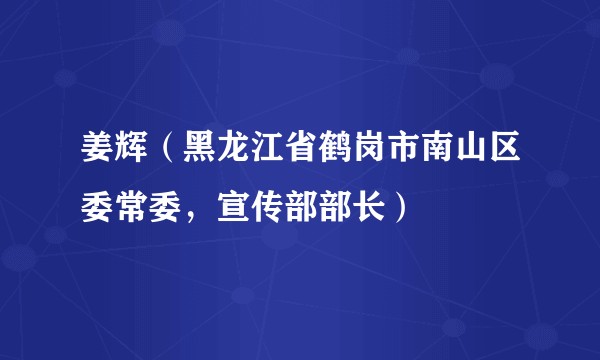 姜辉（黑龙江省鹤岗市南山区委常委，宣传部部长）