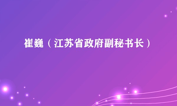 崔巍（江苏省政府副秘书长）