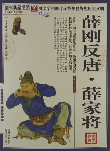 薛刚反唐·薛家将（2010年吉林出版集团出版的图书）