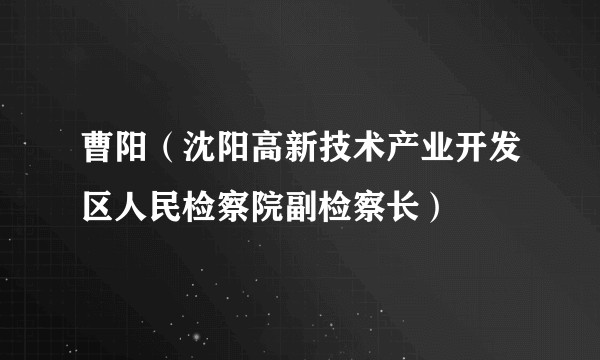 曹阳（沈阳高新技术产业开发区人民检察院副检察长）