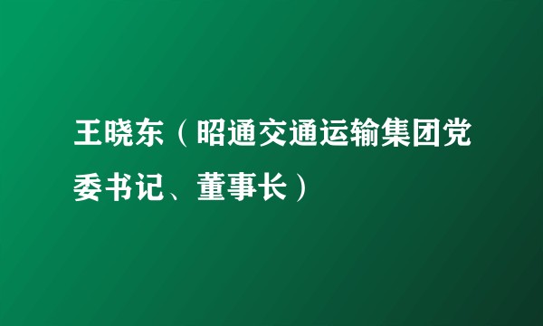 王晓东（昭通交通运输集团党委书记、董事长）