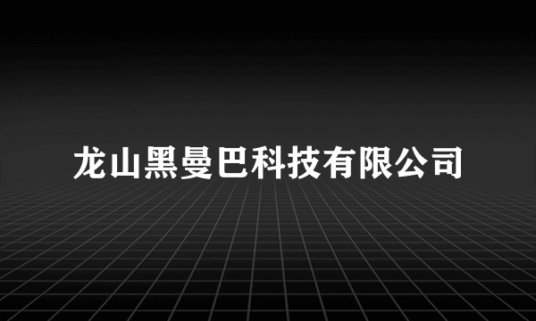 龙山黑曼巴科技有限公司