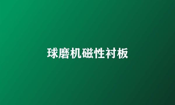 球磨机磁性衬板