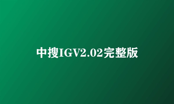 中搜IGV2.02完整版