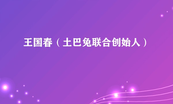 王国春（土巴兔联合创始人）
