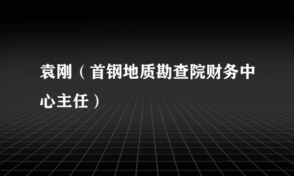 袁刚（首钢地质勘查院财务中心主任）