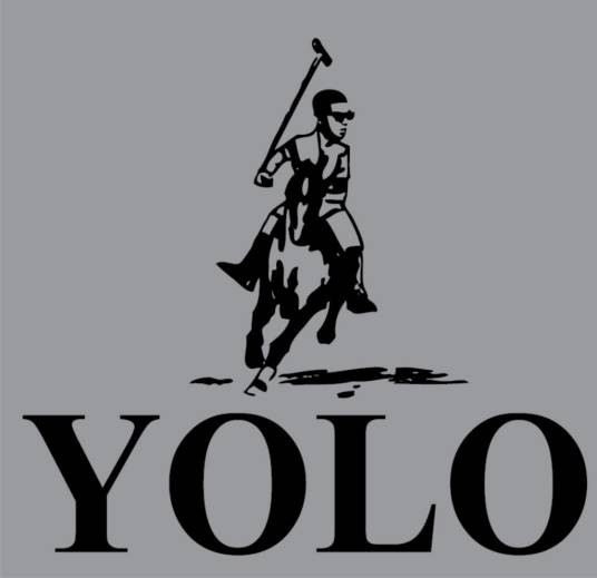 yolo(流行词汇)