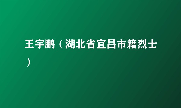 王宇鹏（湖北省宜昌市籍烈士）