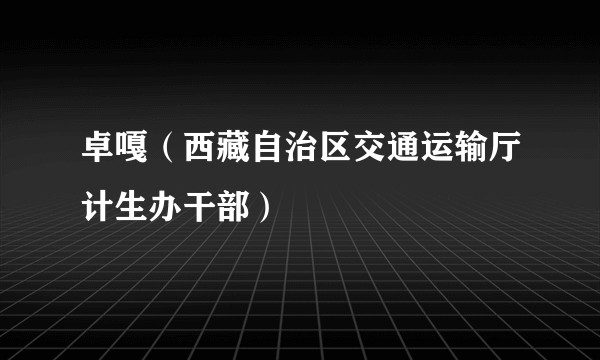 卓嘎（西藏自治区交通运输厅计生办干部）
