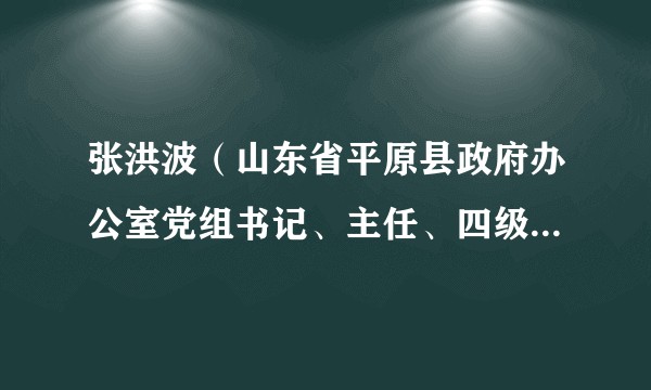 张洪波（山东省平原县政府办公室党组书记、主任、四级调研员）