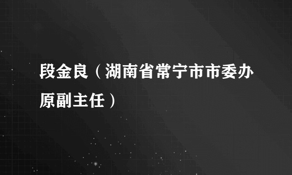 段金良(湖南省常宁市市委办原副主任)