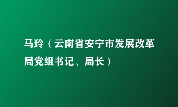 马玲（云南省安宁市发展改革局党组书记、局长）