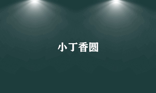 小丁香圆
