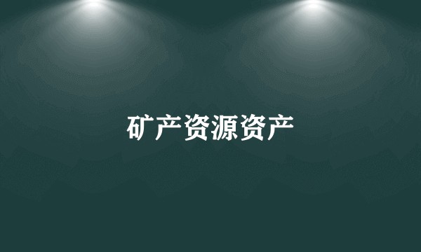 矿产资源资产