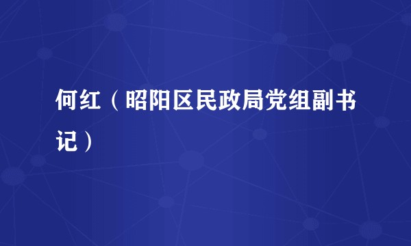 何红（昭阳区民政局党组副书记）