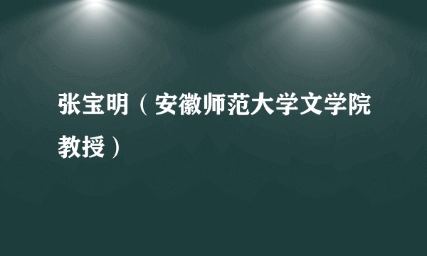 张宝明（安徽师范大学文学院教授）