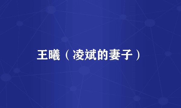 王曦（凌斌的妻子）
