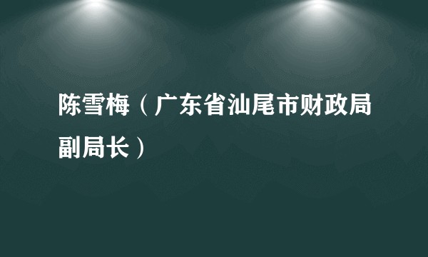 陈雪梅（广东省汕尾市财政局副局长）