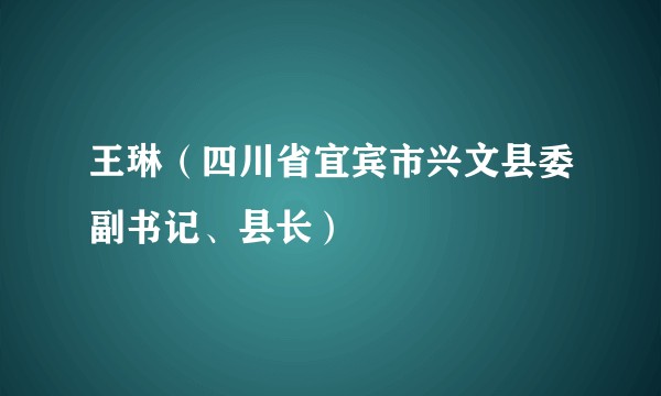 王琳(四川省宜宾市兴文县委副书记、县长)