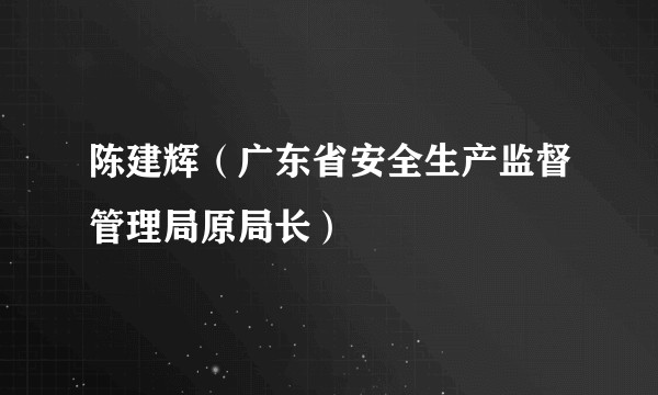 陈建辉（广东省安全生产监督管理局原局长）