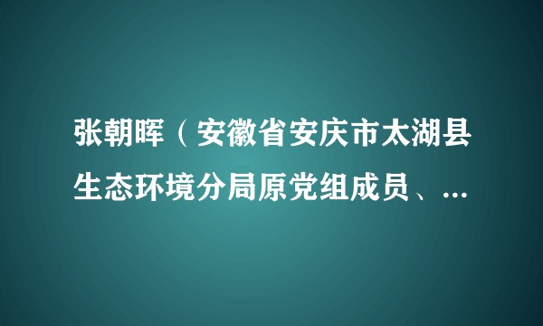 张朝晖（安徽省安庆市太湖县生态环境分局原党组成员、生态环境保护综合行政执法大队原大队长）