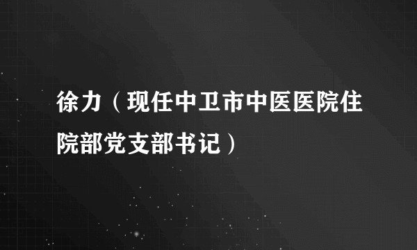 徐力（现任中卫市中医医院住院部党支部书记）