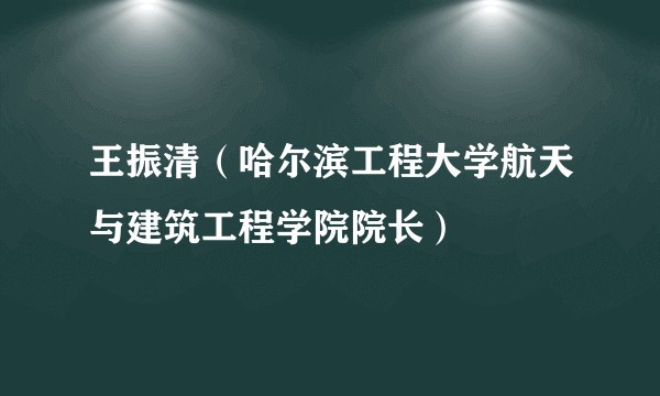 王振清（哈尔滨工程大学航天与建筑工程学院院长）
