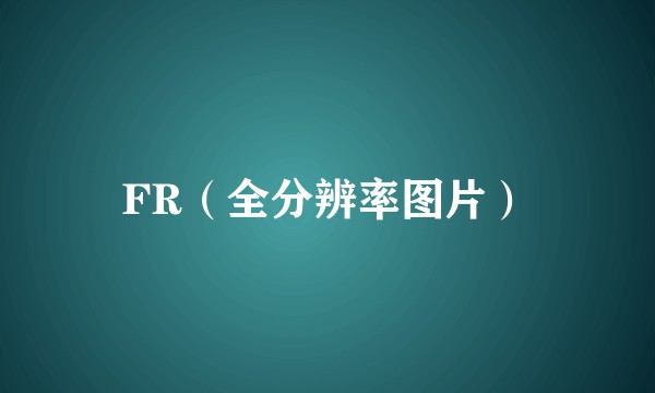 FR（全分辨率图片）
