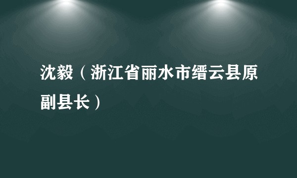 沈毅（浙江省丽水市缙云县原副县长）