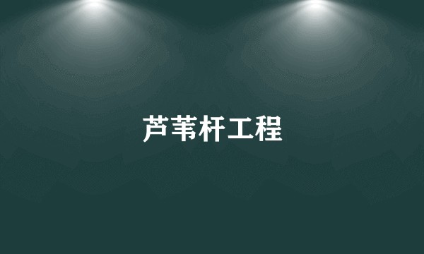 芦苇杆工程