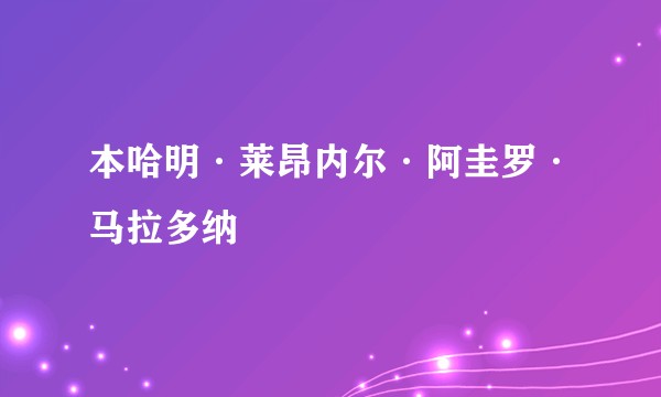 本哈明·莱昂内尔·阿圭罗·马拉多纳
