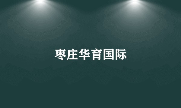 枣庄华育国际