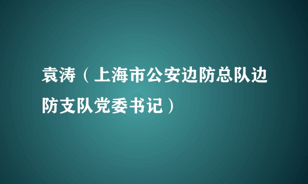 袁涛（上海市公安边防总队边防支队党委书记）