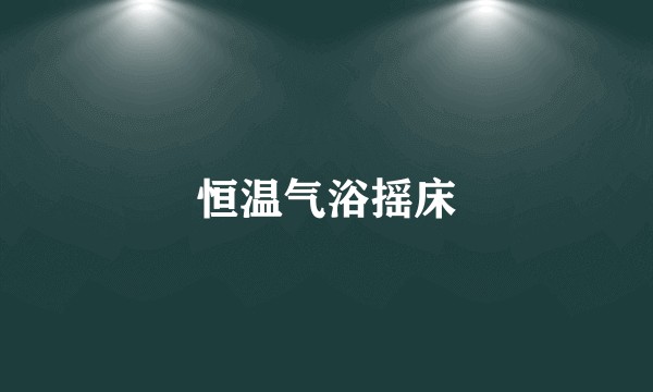 恒温气浴摇床
