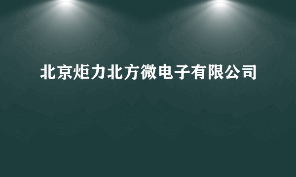 北京炬力北方微电子有限公司