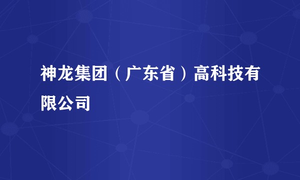 神龙集团（广东省）高科技有限公司