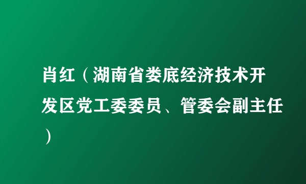肖红（湖南省娄底经济技术开发区党工委委员、管委会副主任）