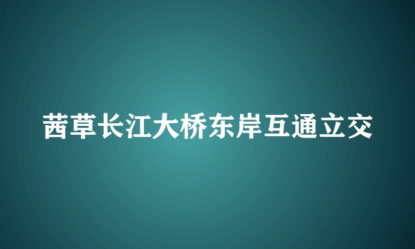 茜草长江大桥东岸互通立交