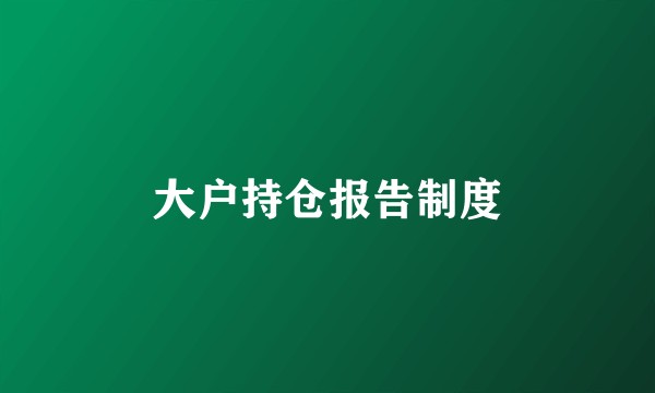 大户持仓报告制度