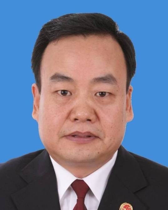 王学成（第十四届全国人大常委会委员，广东省政协副主席，民盟中央副主席、省委会主委）