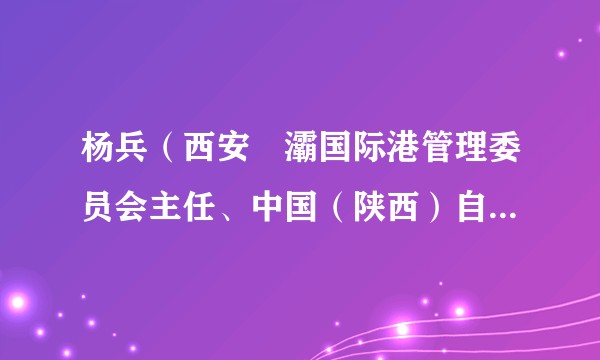 杨兵（西安浐灞国际港管理委员会主任、中国（陕西）自由贸易试验区西安国际港务区片区（直属）管理局局长（兼））