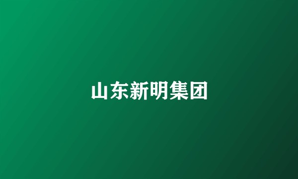 山东新明集团